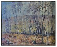  Birch Trees in the Fall